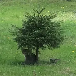 Дюшес 🙀😻😽