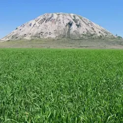 Башкирская аналитика