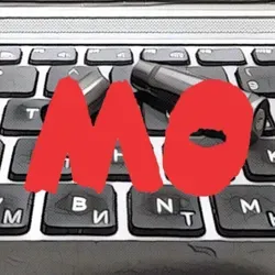 Караульный МО