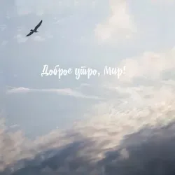 ✨M Y•M O R N I N G✨