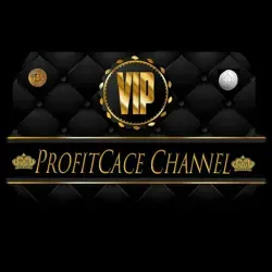 Profit Case
