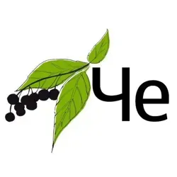 Честные Черёмушки