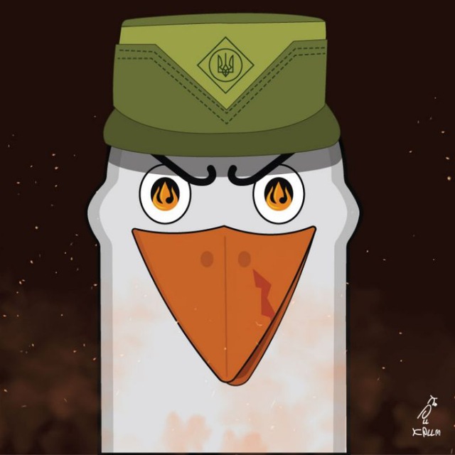 Кримські бойові чайки
