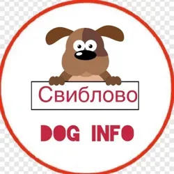 Свиблово dog info