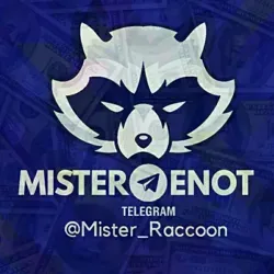 Мистер Енот