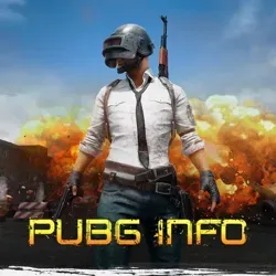 PUBG INFO