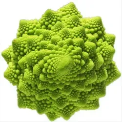 Необычное ВСЁ!