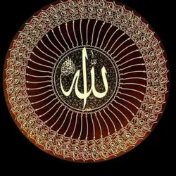 Qalb Barkamolligi sari🫧
