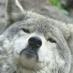 ВСЕМ обо ВСЁМ