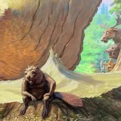 Руки из плеч