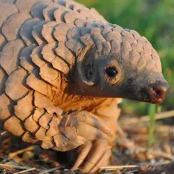 Мне всех жалко