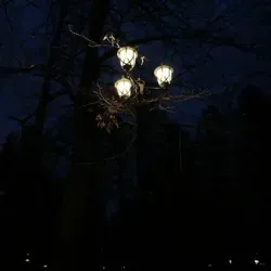 микроблог 🚩