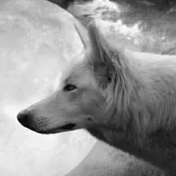 Мудрые мысли от Неъматулло