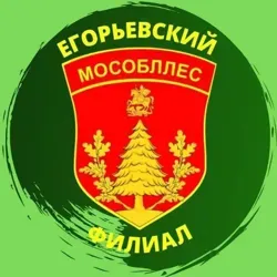 Егорьевское лесничество