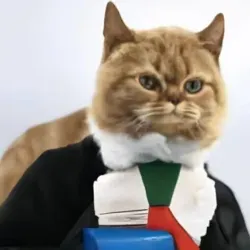 Ор с доставкой