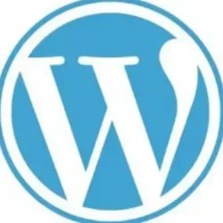 Мастерская WordPress