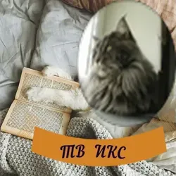 ТВИКС