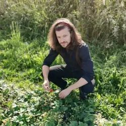 Тимофей на каждый день