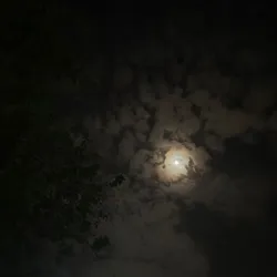 узбеки не говорят