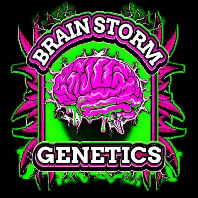 BRAIN STORM GENETICS🚢📦📦
