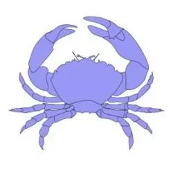 Яойные крабы 18+