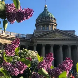 в спб любят