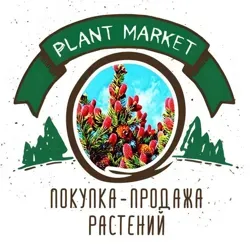 The plant market (Покупка-продажа растений)