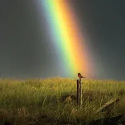 Стоп, депрессия！