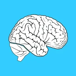 Соображариум