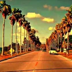 🇺🇸 California Dreaming