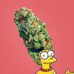 i’m so high