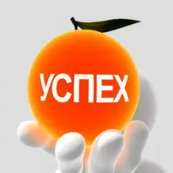 Дневник успешного человека