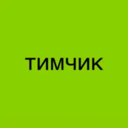 Тимчик