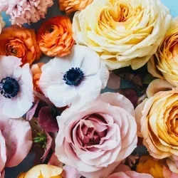 Тактика нежного допроса