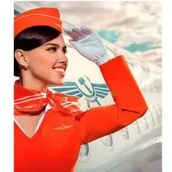 Типичный Перевозчик