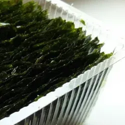 Морская к@пуст@