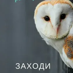 Prisba - биржа фрилансеров ,вакансий,витрина услуг