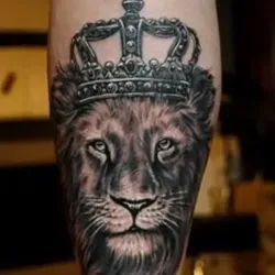 Betta vip чат🏆