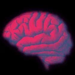 COMEBACK.BET | СТАВКИ НА СПОРТ