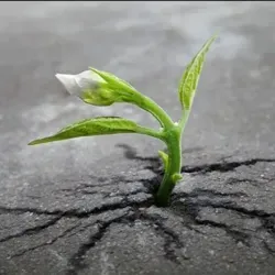 Время сильных