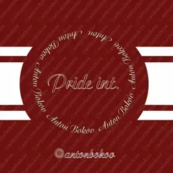 Антон Боков. Pride int.