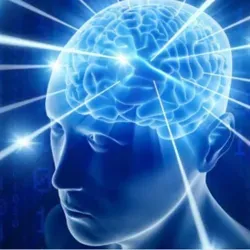 Мысли лучших