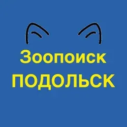 Зоопоиск ПОДОЛЬСК | Потеряшки Подольск