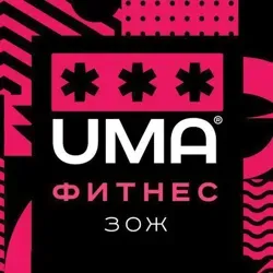 Фитнес. ЗОЖ. Спорт. Чат