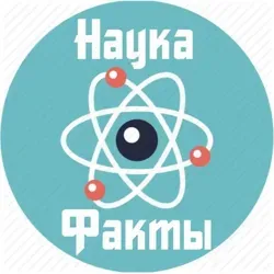 ФАКТ ДНЯ