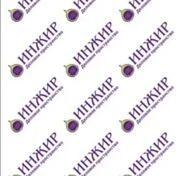 Business Group Inzhir