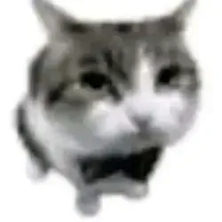 мод на рабочий тик ток