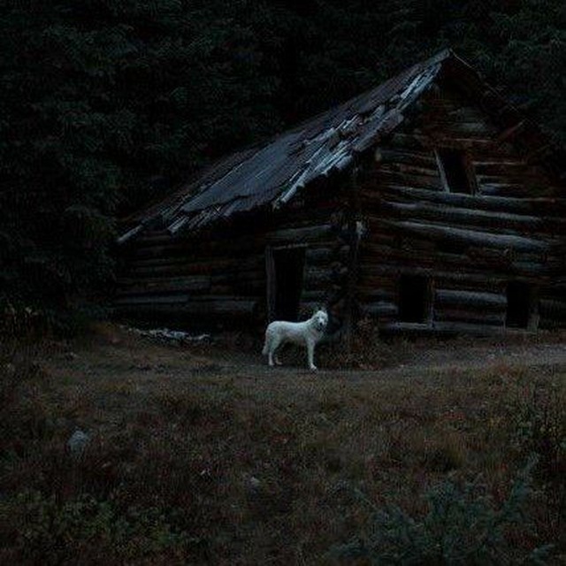||Дом у озера||