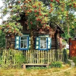 Осознание происходящего