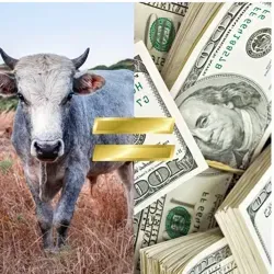 Бизнес в деревне